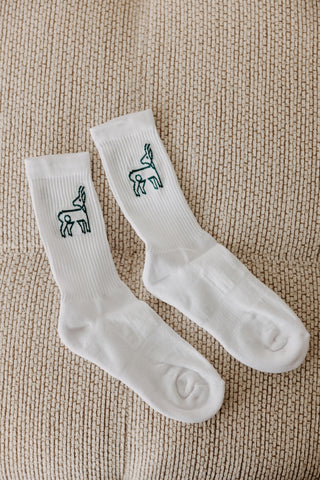 SOCKS